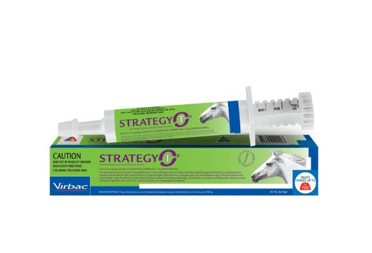 StrategyT Oral Broad Spectrum Worm Paste for Horses